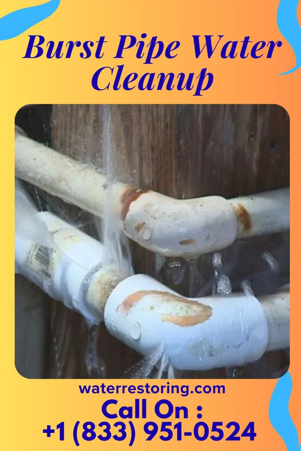 Burst Pipe Water Cleanup in Rarden, OH