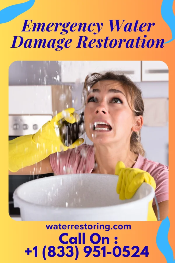 Emergency Water Damage Restoration in Rarden, OH