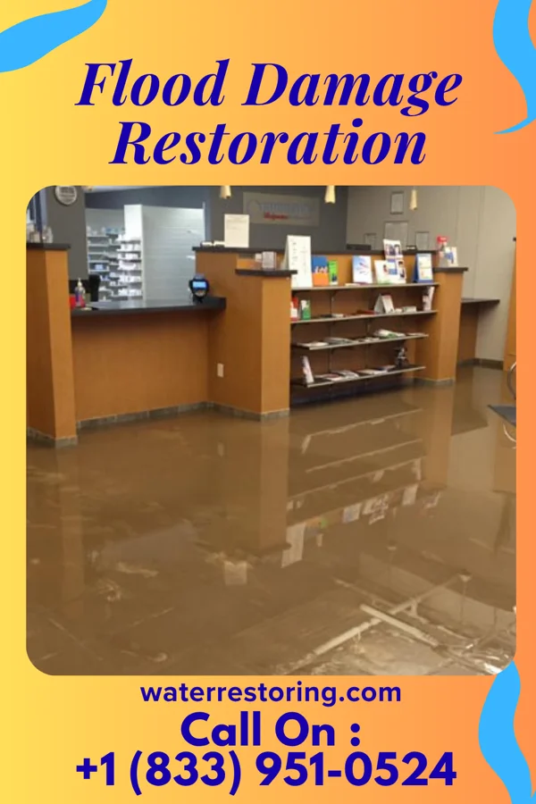 Flood Damage Restoration in Rarden, OH