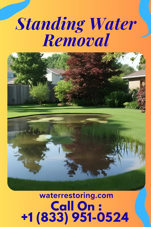 Standing Water Removal in Rarden, OH